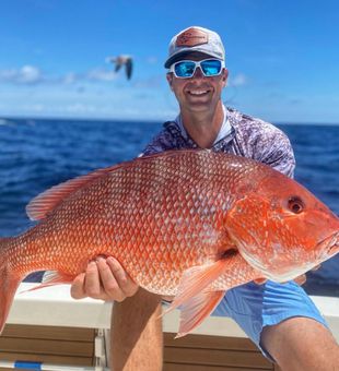 Large Snapper in Santa Rosa Beach, FL