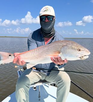 Solid Redfish caught on Mississippi flats