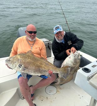 Black Seabass Beauty: A Coastal Fishing Triumph