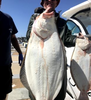 May 9th, 26 Fishing has been great all week today we landed 4 coming in at 33 inches