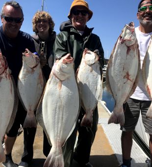 Six California Flounder from Berkeley waters!