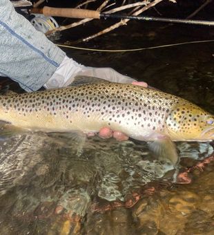 "Embark on a Serene Lake Michigan Fishing Trip!