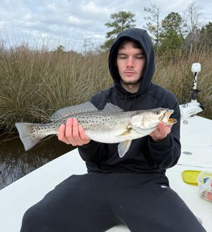 Beautiful speckled trout from Cedar Point NC waters!