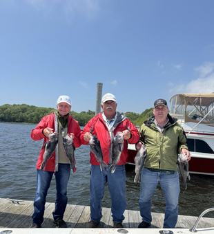 Great Tautog catch with a sunny backdrop.