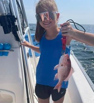 Explore Deep Sea Offshore Fishing