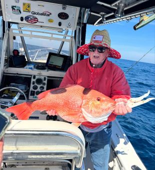Tennessee never disappoints on snappers