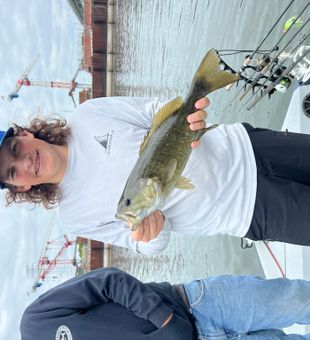 Bass and catfish – let’s go!