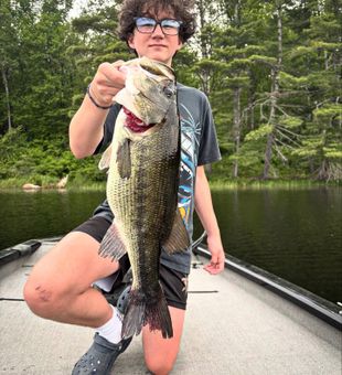 Catch largemouth bass with guide