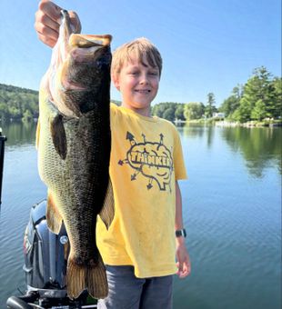 Western MA smallmouth bite strong