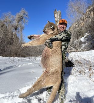Tough Nevada hunt day, a high-country trophy earned
