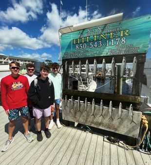 Fresh catch: Mackerel in Destin, Florida!