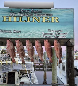 “Fishing in Destin, Florida, is the ultimate Gulf Coast adventure”