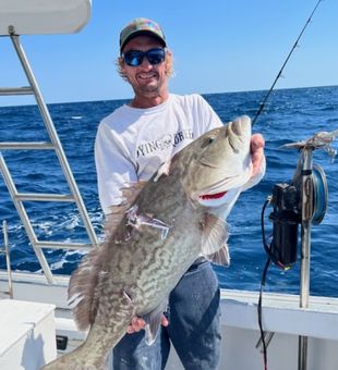 Cape Canaveral fishing charters, Gag Grouper Fish