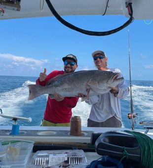 Fishing Charters in Cape Canaveral, Gag Grouper