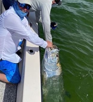 Premier Tarpon Fishing in Fort Myers