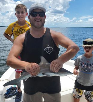 Shark in Bokeelia, FL