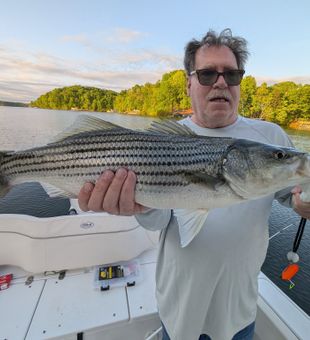 Lake Lanier: Striped bass paradise.