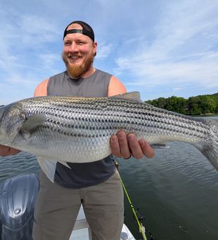Catch your trophy fish in Lanier!