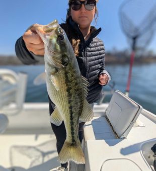 Nice Gainesville GA bass making the day worthwhile!