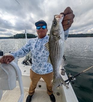 Nice striped bass from Gainesville GA waters!