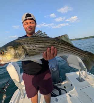 Nice striped bass from Gainesville GA waters!