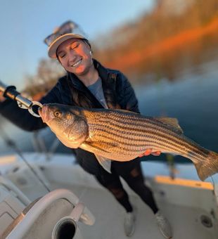 Gainesville GA striped bass making the day complete!