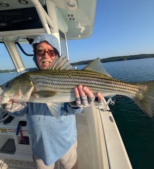 Beautiful Gainesville striped bass making the day complete!