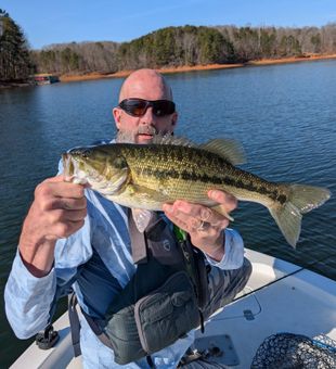 Lanier bass know how to put on a show.