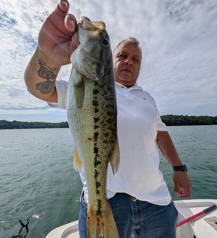 Huge 36-inch Largemouth Bass reeled in under clear skies!