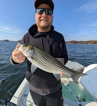 Nice striped bass using jigging and trolling techniques on the lake today!