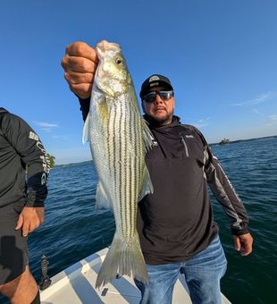These Lanier Bass don’t mess around!