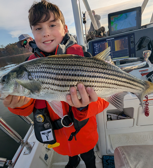 Nice striped bass using light tackle jigging and trolling techniques!
