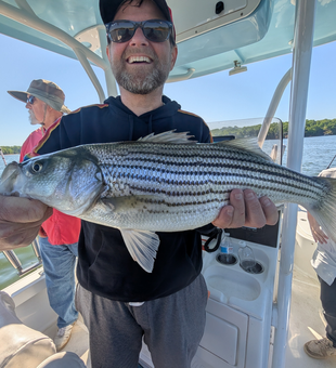 Beautiful Lake Lanier striped bass caught with light tackle!