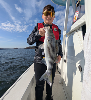 Nice striped bass using light tackle and jigging techniques at Sardis Creek Park on a clear day.