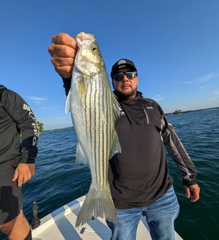 Big 37-inch Striped Bass reeled in on a clear day!