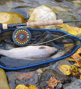 River fishing with heart and soul