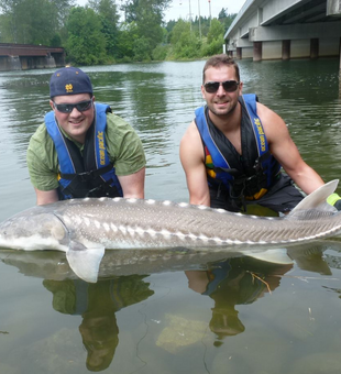 Learn to fish Sturgeon and relax