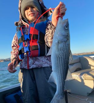 Proud moment with shiny Striped Bass!