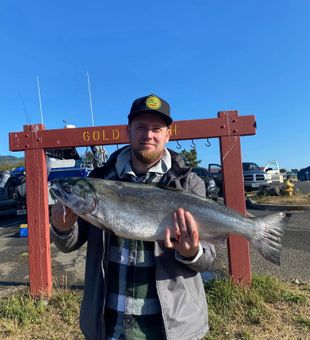 Fresh catch: sleek Coho Salmon, Gold Beach!