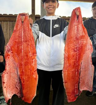 Big salmon success!