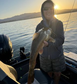 Gold Beach flathead catfish making the evening memorable!