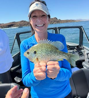 Coastal mornings done right