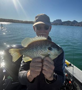 Good times and tight lines