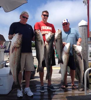 Chasing Striped Bass, Montauk Vibes.