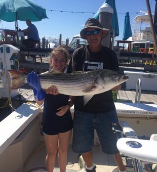 Striped Bass Moments In Montauk, NY