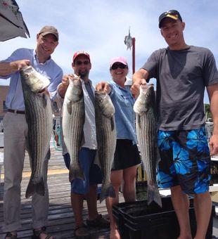 Montauk's Striped Bass Extravaganza!
