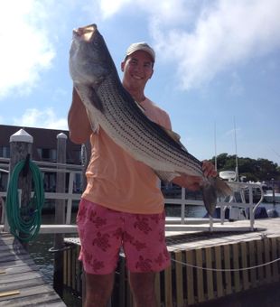 Chase the Dream: Striped Bass Montauk.