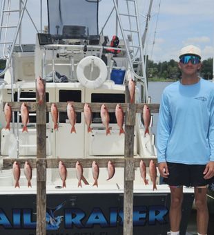 Smooth rides and steady bites in Panama City