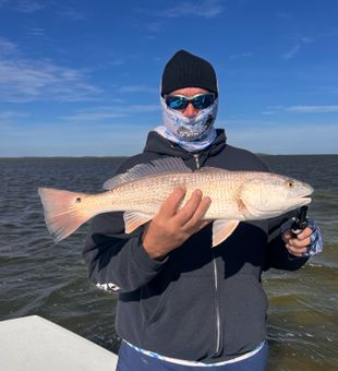 Redfish Hooked on Texas waters