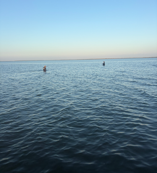 Peaceful fishing day at South Padre Island.